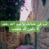 ali 🇩🇿🇵🇸 的头像