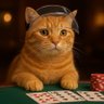 Фото профиля Apuestas El wero