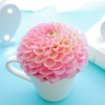きわ🌹 profil fotoğrafı