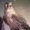 AGUQUAD's profile picture