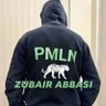 🇵🇰PMLN MARKHOR 🇵🇰 Abbasi 的头像