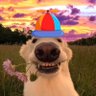 Profilbild von ⚡️Mateo⚡️