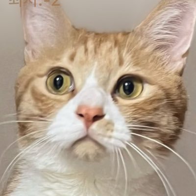 보늬 다온 소화's profile picture