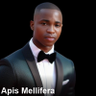 Apis Mellifera profil fotoğrafı