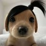 骨头's profile picture