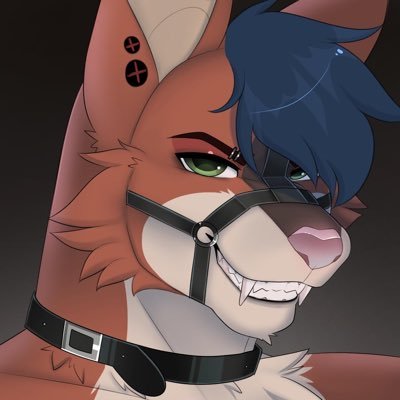 Fluffytacolover's profile picture