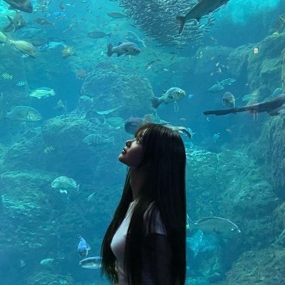 xiaoyuaixiaoli's profile picture