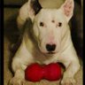 Joseph Kershaw Dreitler's profile picture
