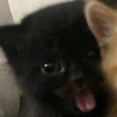 Xavier's profile picture