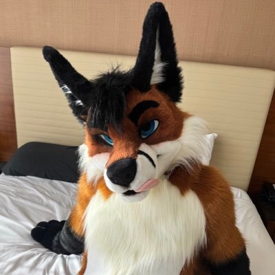 friskyfoxlog's profile picture