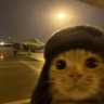 Фото профиля JetLagKitty