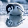 WowCuteMoments's profile picture