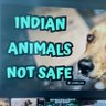 indian Human 的头像