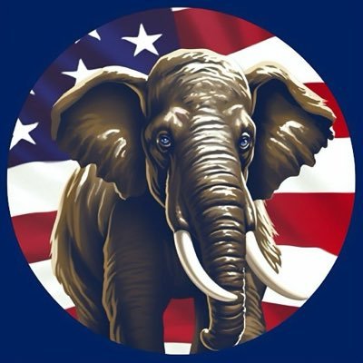 Proud_usaGirl's profile picture