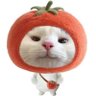 akaashi tomat's profile picture