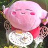 みていてみ's profile picture