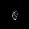 Фото профиля idontknowwhatmynameis