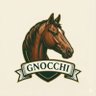 gnocchi🎙️💫 profil fotoğrafı
