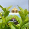 Фото профиля Raghul