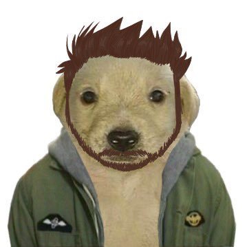 pincheotako's profile picture