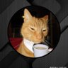 Damolami's profile picture