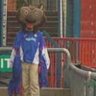 Captain Anopheles's profile picture