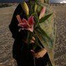 ريـم ْ. 的头像