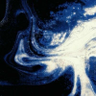 CabinetCuriiosity's profile picture