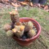 これだよ profil fotoğrafı