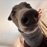 Profilbild von Frakey