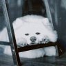 Profilbild von P