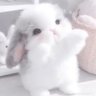 Фото профиля 𝓟𝓻𝓸𝓶𝒊𝒔𝒔_𝒔𝒔🐈♡໒꒱ ft.เละคัก