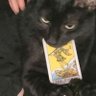 Profilbild von Marvin