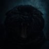 MostH's profile picture