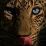 E's profile picture