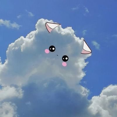 softsparkling's profile picture