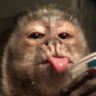 camisdeafgm's profile picture