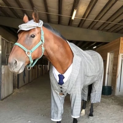 Neb's profile picture