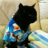 Aj.jh profil fotoğrafı