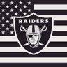🇺🇸 Sapper 💥 Raider 🏴☠️ profil fotoğrafı