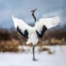 藤広 profil fotoğrafı