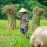 Profilbild von Người Cùng Xóm...