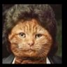 🌵🌅✈️🌈🎬📷🌏☕️🐱 profil fotoğrafı