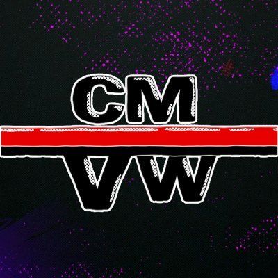The Video Workshop's profile picture