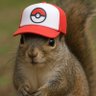 Profilbild von Sqrl