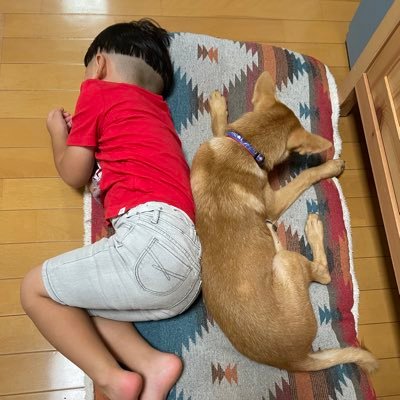 maruo3300xyz's profile picture