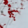 Фото профиля jadechen