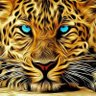 Gopal Krishnan's profile picture