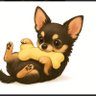 Фото профиля Chihuahua