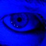 Blue 的头像
